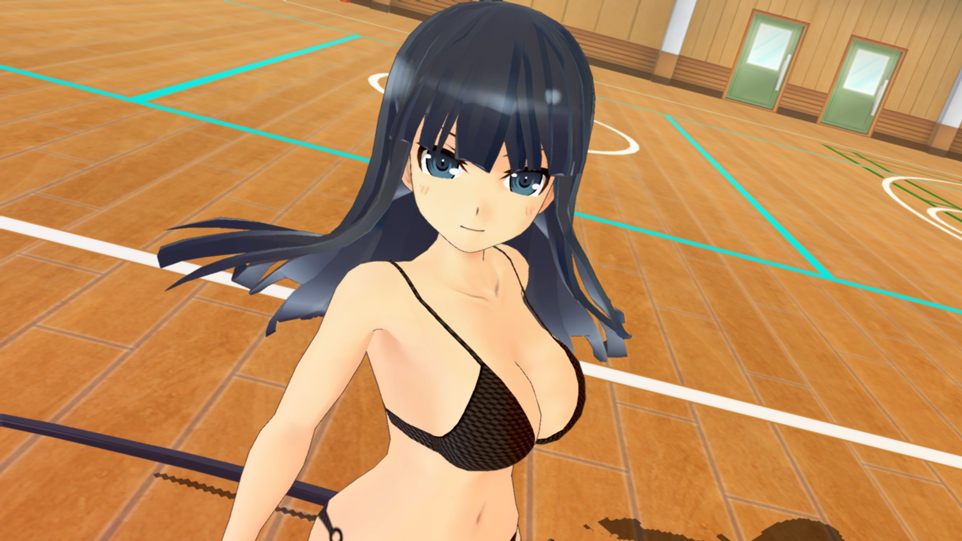 Senran Kagura Shinovi Versus