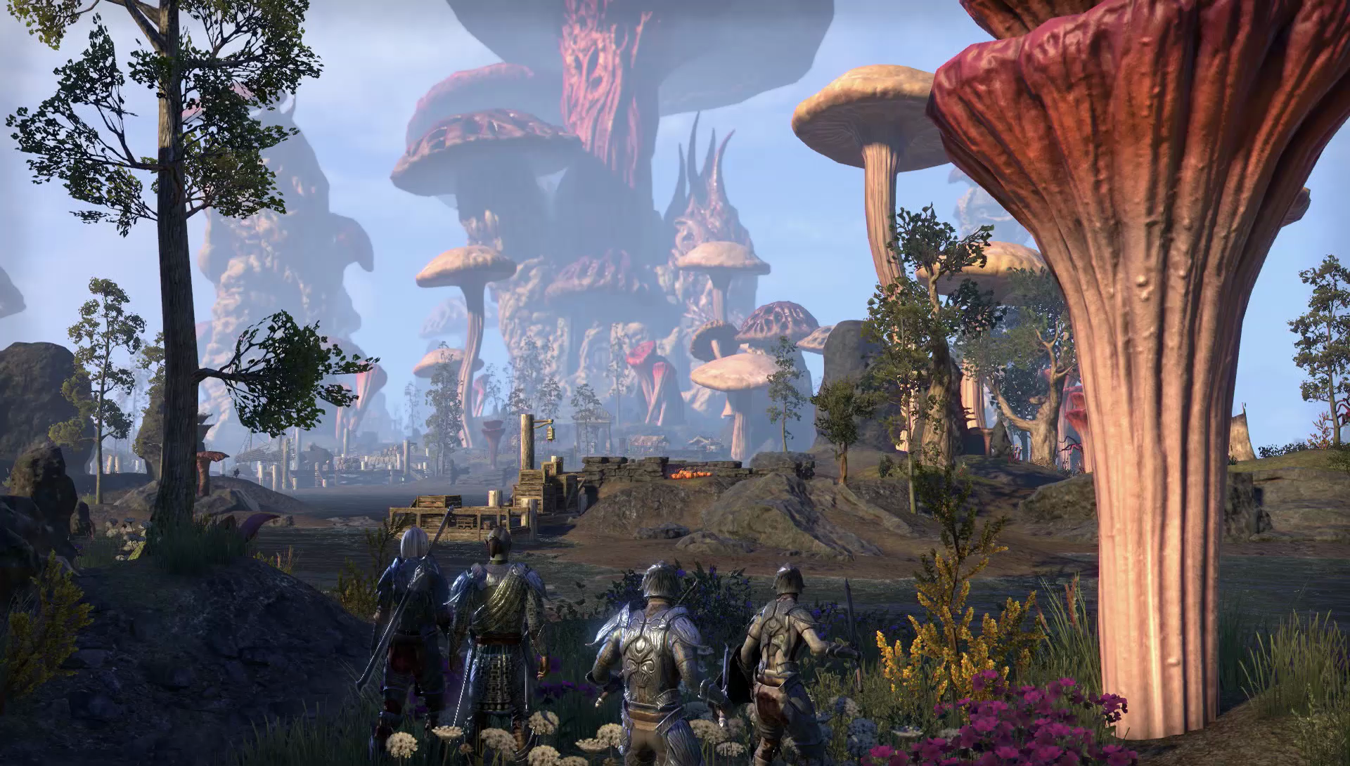 The Elder Scrolls Online Morrowind