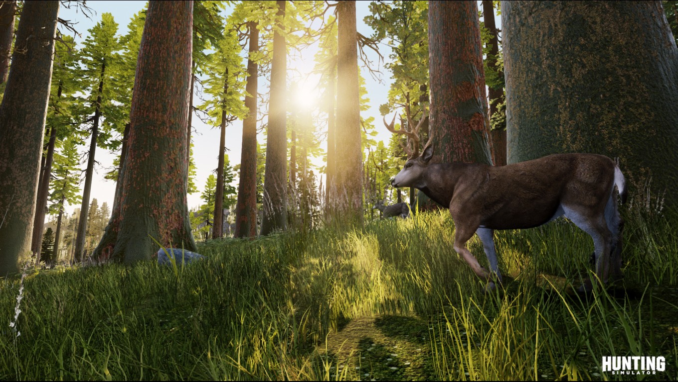 Hunting Simulator