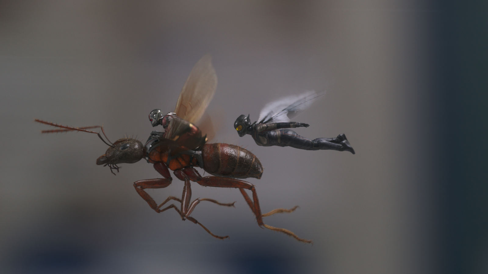 Ant-Man and The Wasp