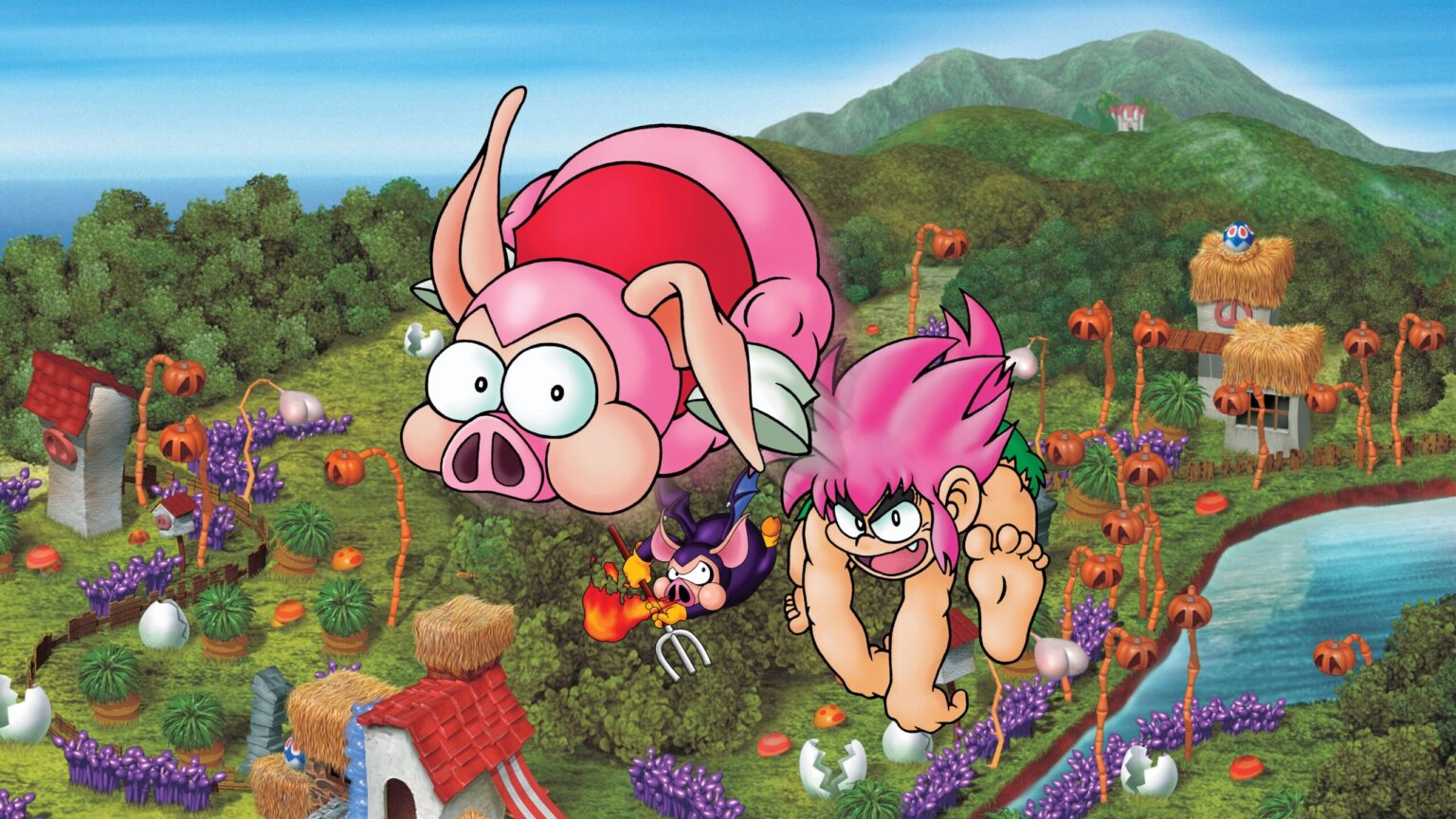 tombi special edition