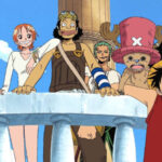 one piece pausa