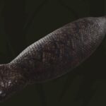 metal-gear-solid-delta-Tsuchinoko