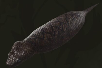 metal-gear-solid-delta-Tsuchinoko