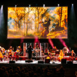 The Witcher in Concert