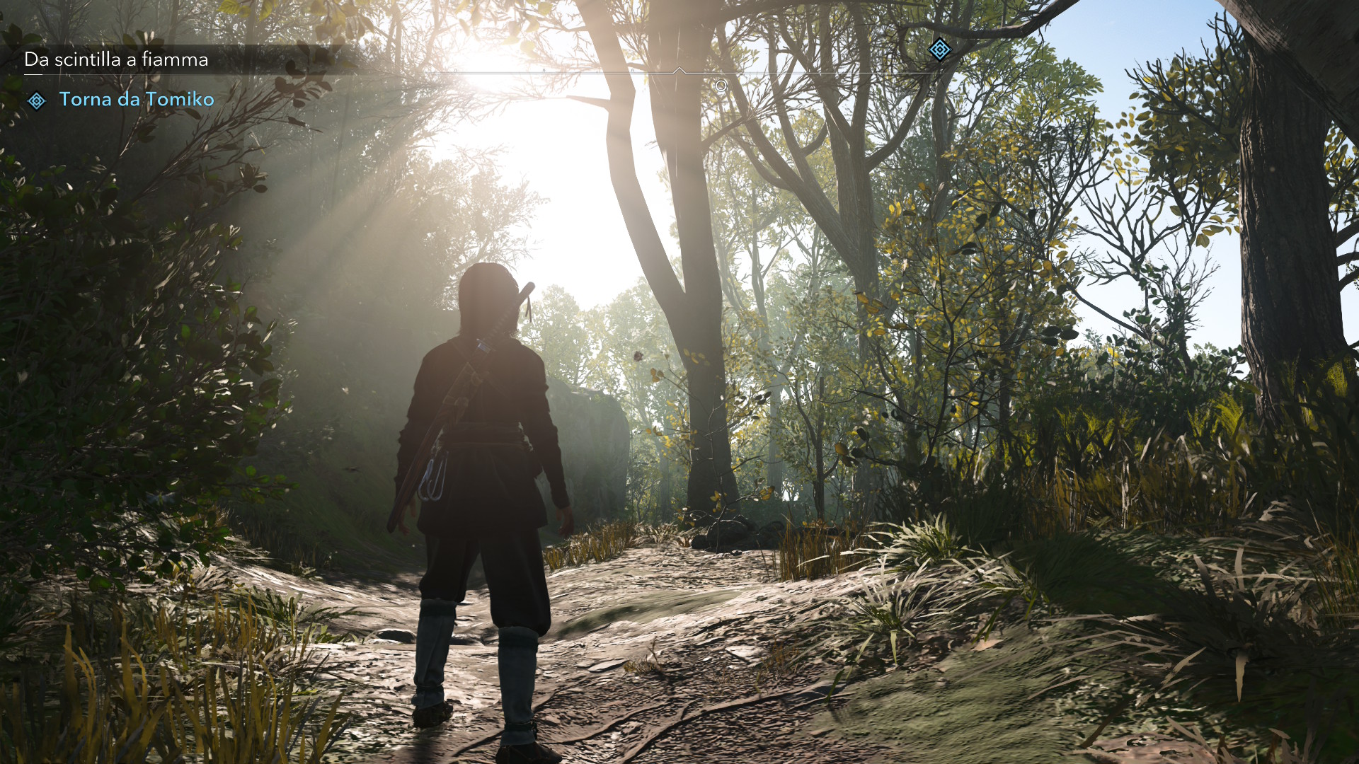 Assassin's Creed Shadows